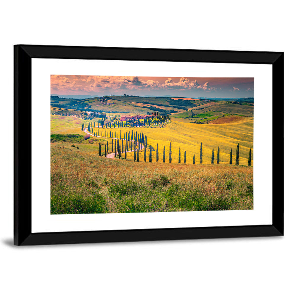 Val D'orcia Cypress Road Wall Art
