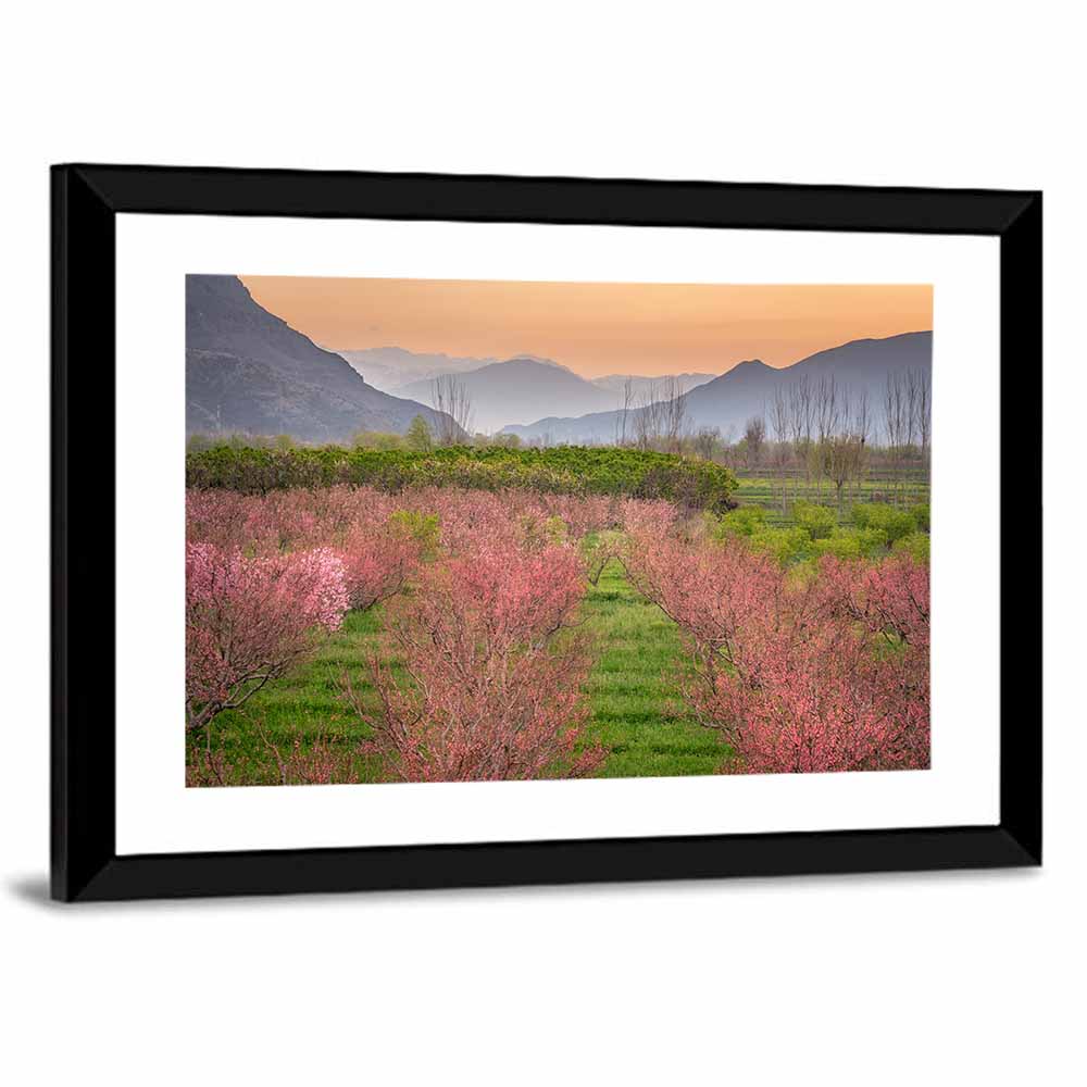 Swat Valley Spring Orchard Wall Art