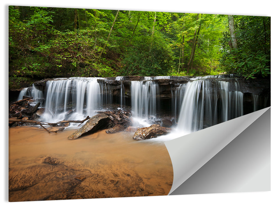 Lush Green Forest Waterfall Wall Art