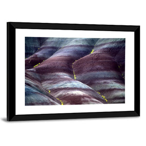 John Day Fossil Beds Wall Art