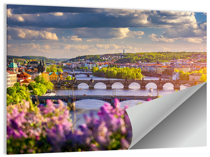 Prague Vltava Bridges in Spring Light Wall Art as a poster print