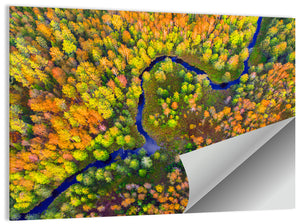 Autumn Forest River Wall Art