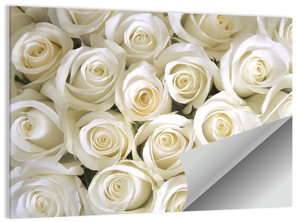 Silky Roses Wall Art