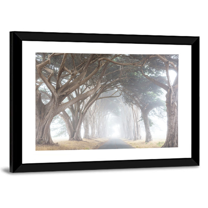 Misty Cypress Tunnel Wall Art as a framed print