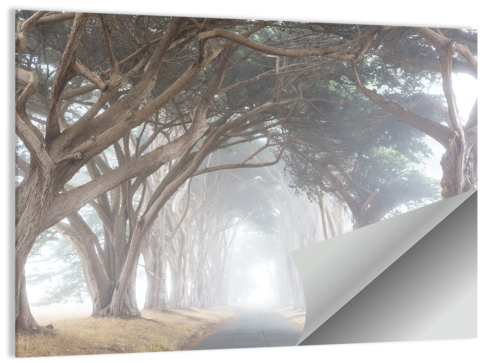 Misty Alley Trees Wall Art