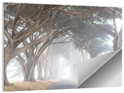 Misty Alley Trees Wall Art
