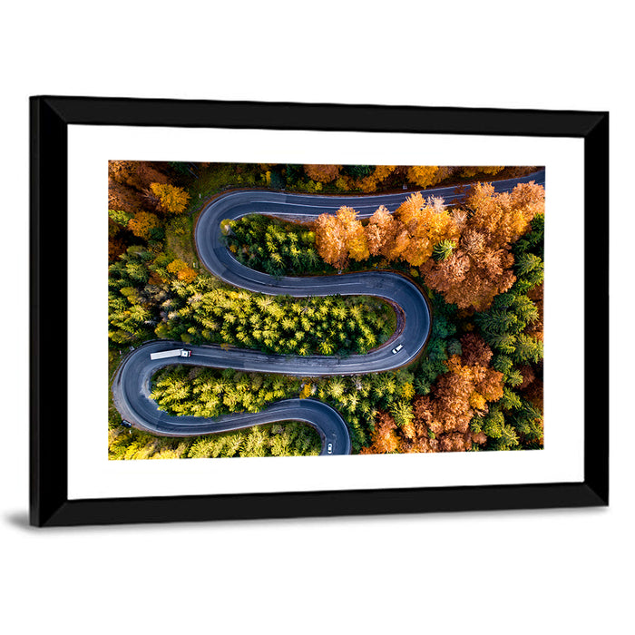 Serpentine Forest Road Wall Art as a framed print