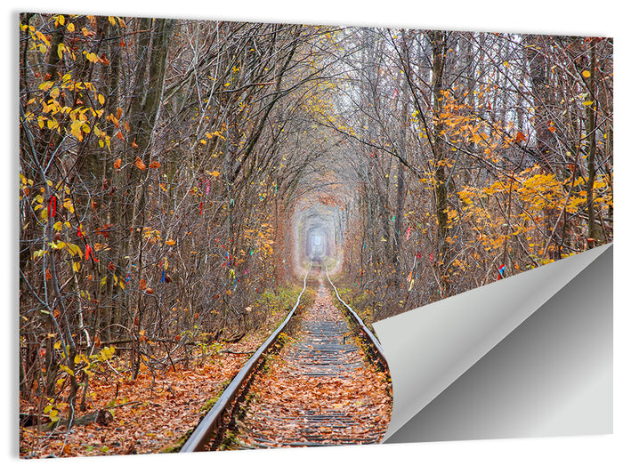 Klevan Tunnel of Love Wall Art as a poster print