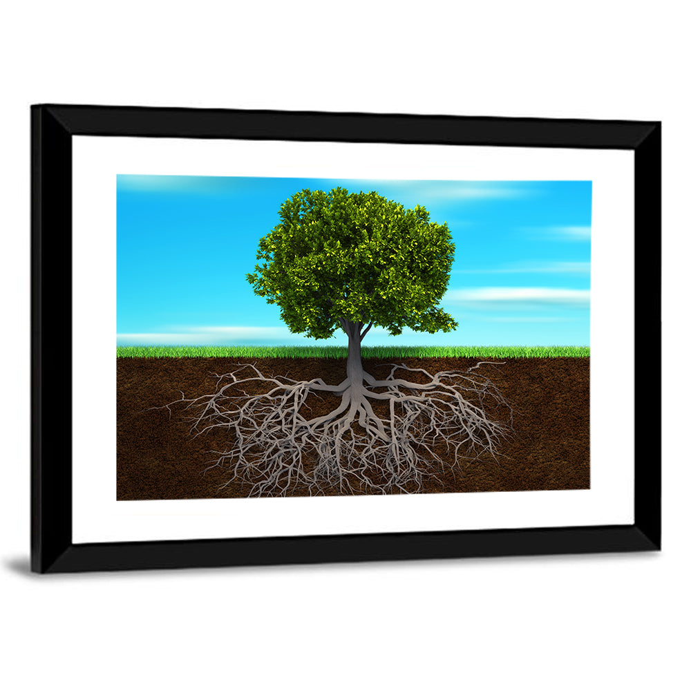 Tree Roots Cross-section Illustration Wall Art
