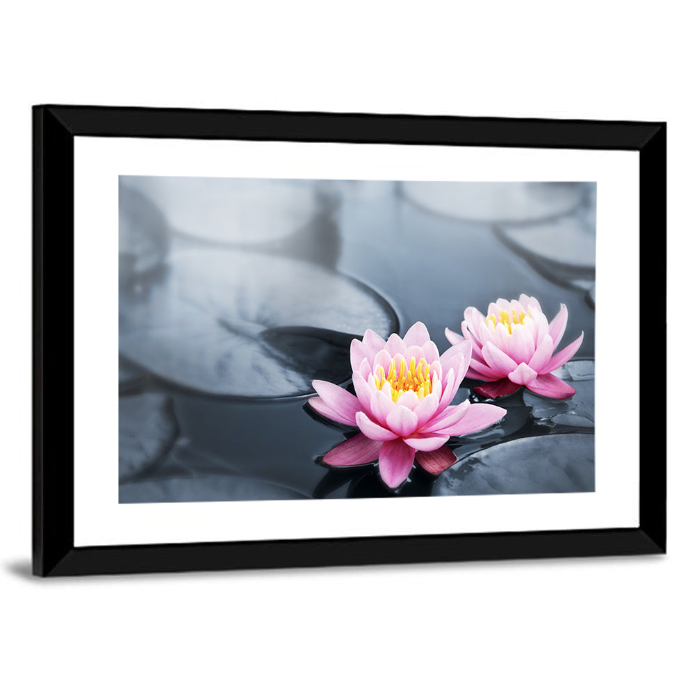 Pink Water Lilies Wall Art