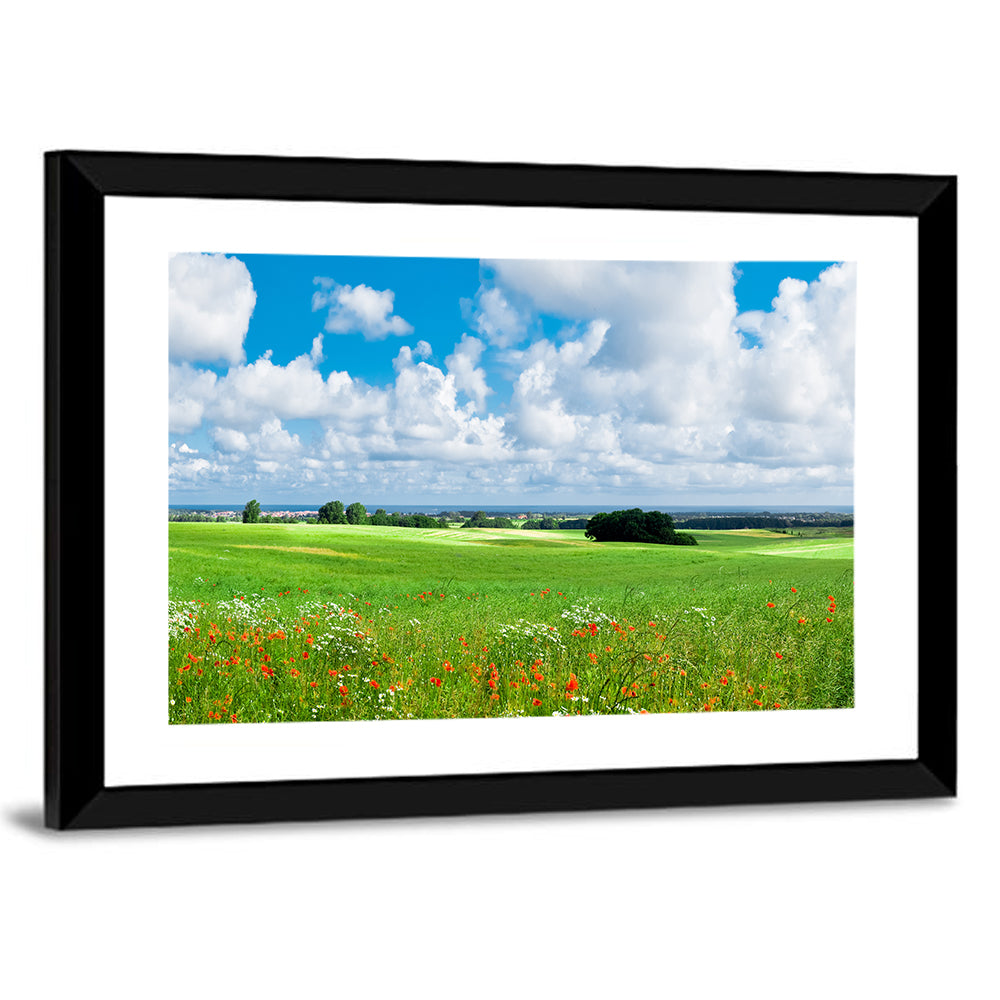 Summer Meadow with Poppies Wall Art