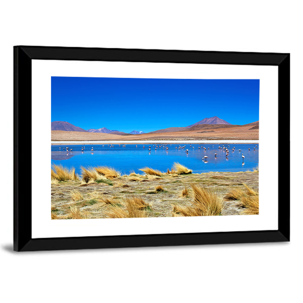 Laguna Flamingo Lake Wall Art