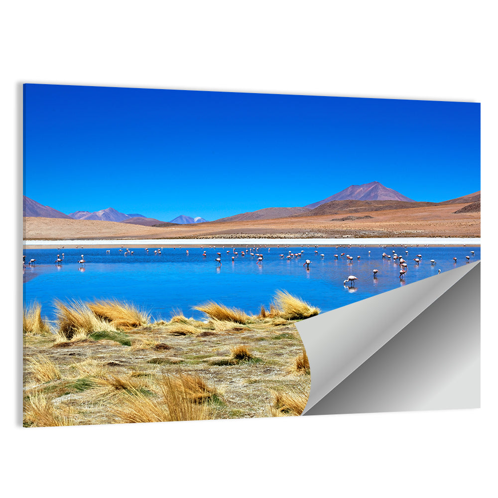 Laguna Flamingo Lake Wall Art