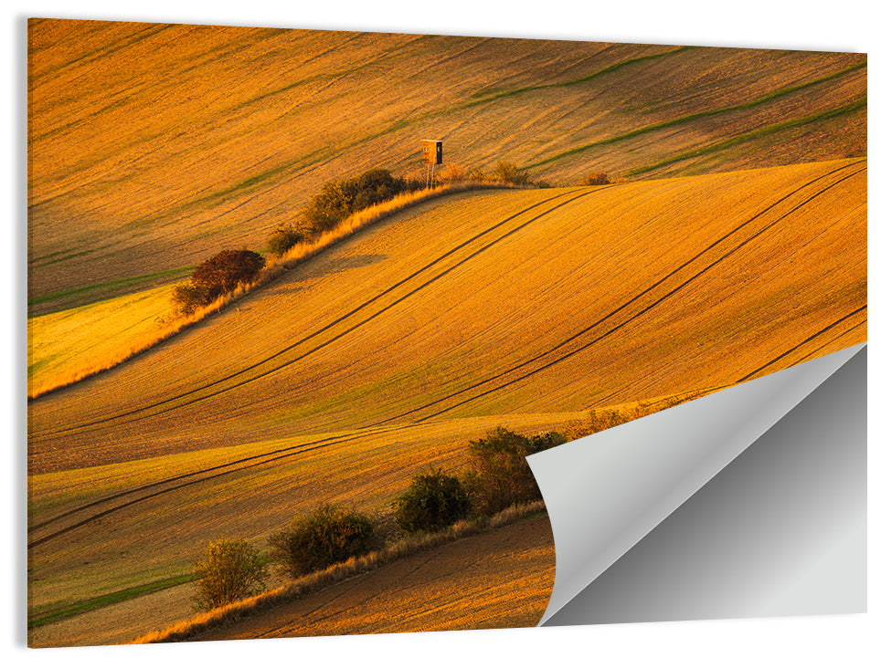 Golden Moravian Farm Tracks Wall Art