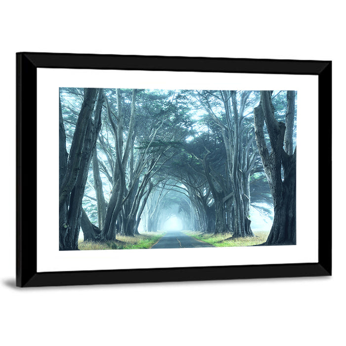 Foggy Cypress Tree Tunnel Wall Art as a framed print