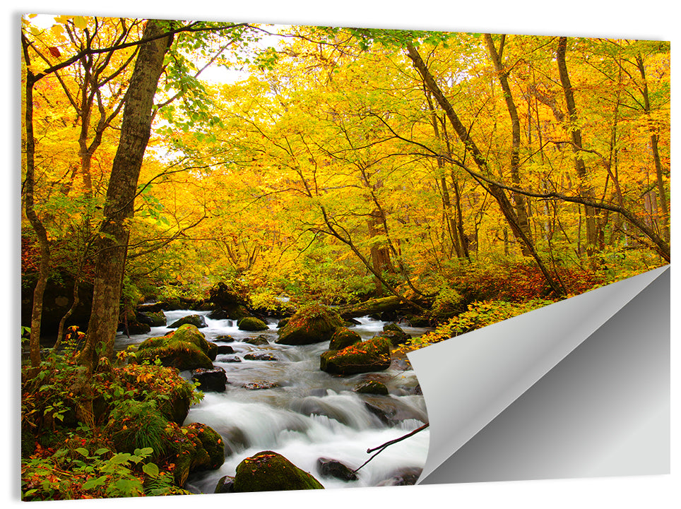 Oirase River Wall Art