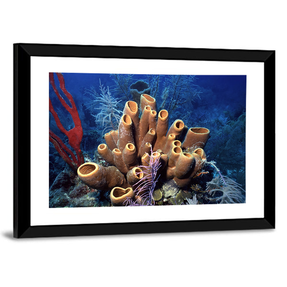 Belize Reef Sponge Scene Wall Art