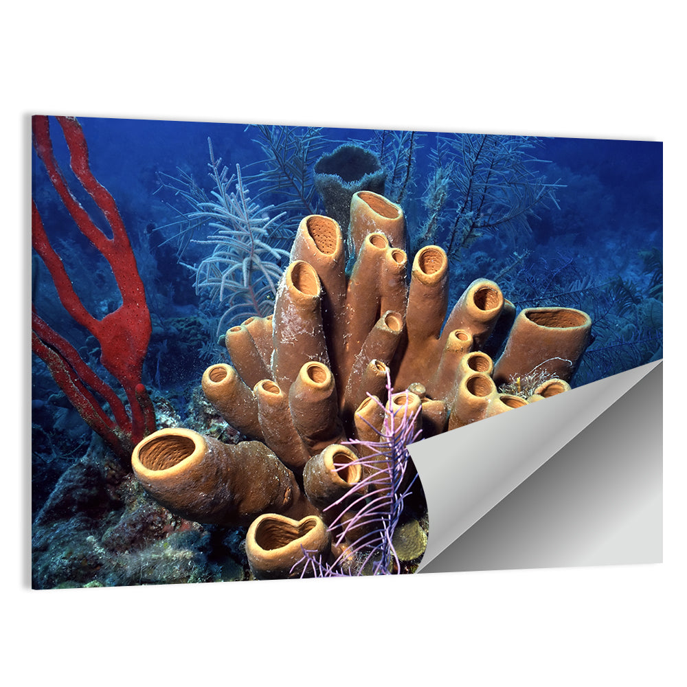 Belize Reef Sponge Scene Wall Art