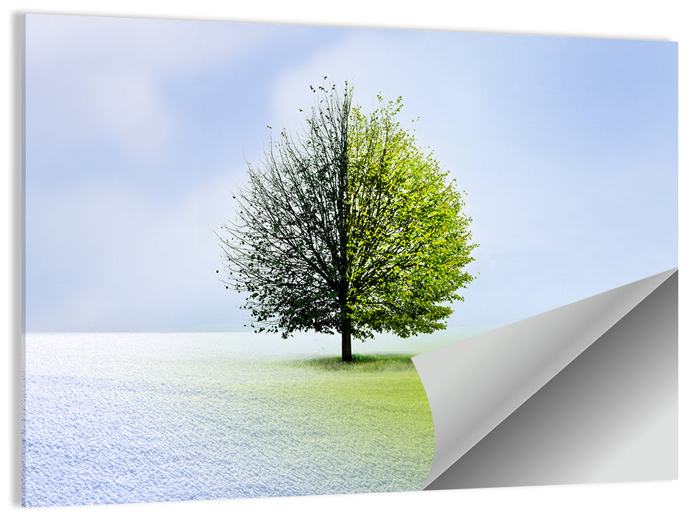 Winter to Spring Tree Wall Art