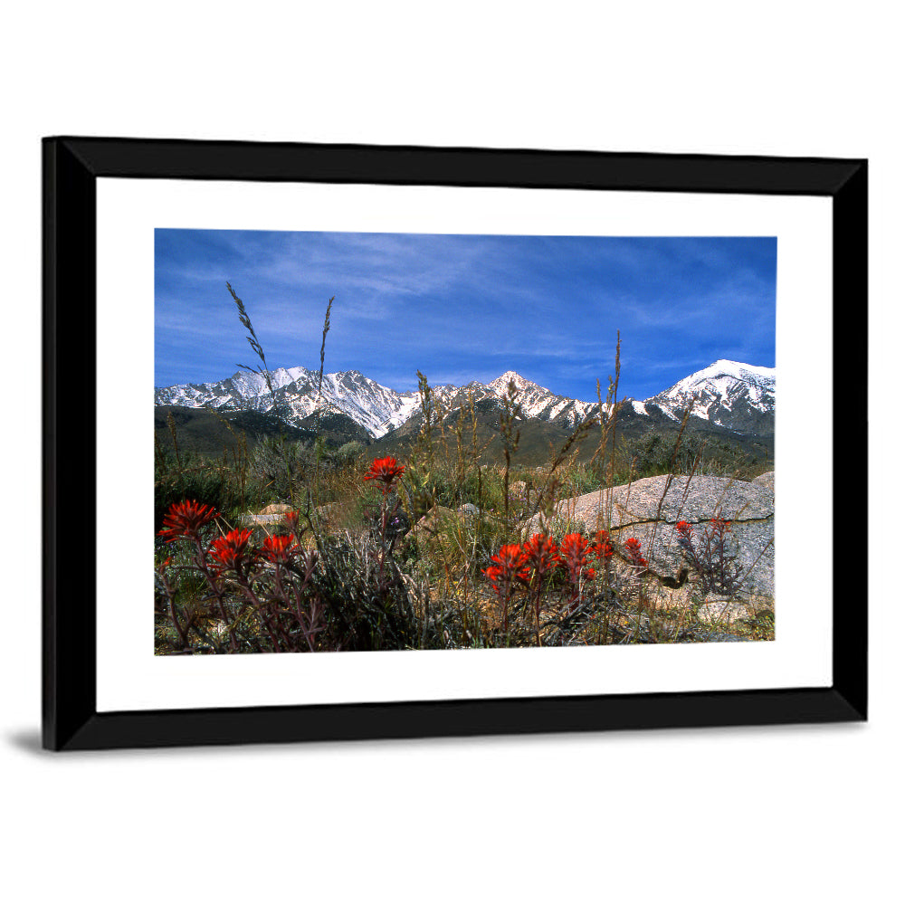 Sierra Nevada Wildflower Vista Wall Art