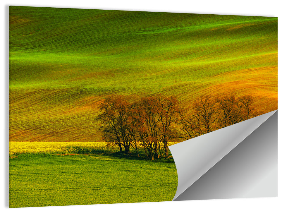 Wheat Fields Wall Art