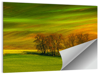 Wheat Fields Wall Art