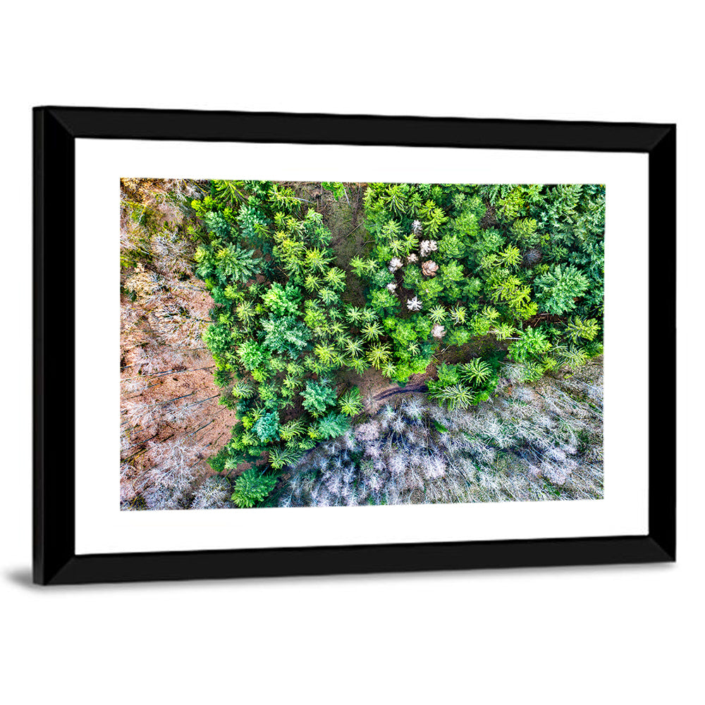 Vosges Mountains Wall Art