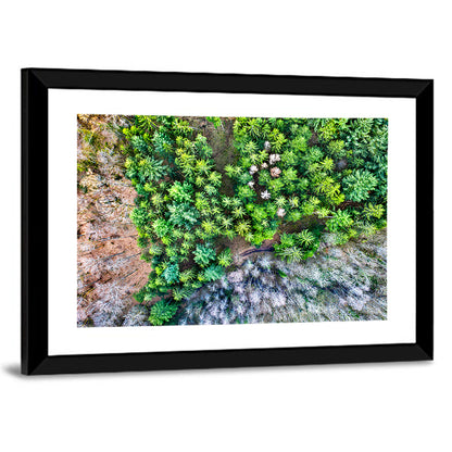 Vosges Mountains Wall Art