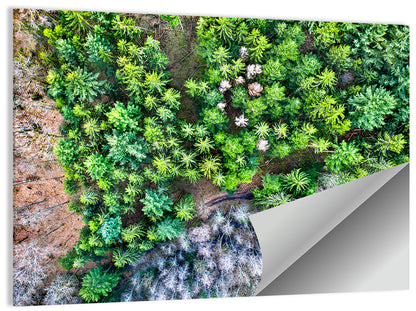 Vosges Mountains Wall Art
