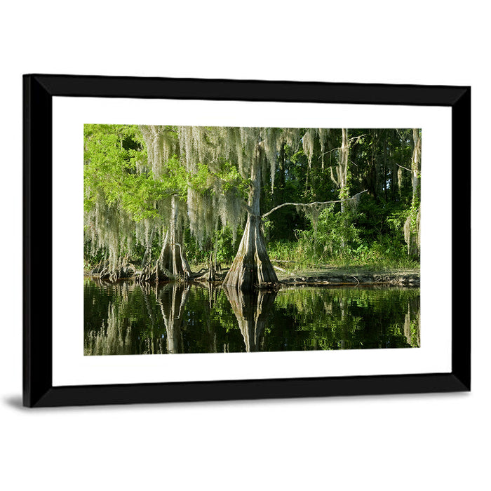 Bald Cypress and Great Blue Heron Wall Art as a framed print