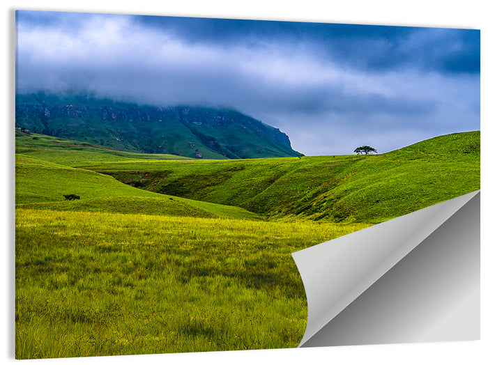 Dragon Mountains with Lone Tree Wall Art as a poster print