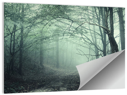 Creepy Forest Wall Art