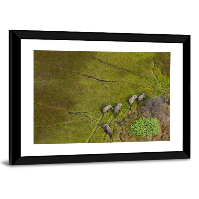 Aerial Herd of Elephants Wall Art as a framed print