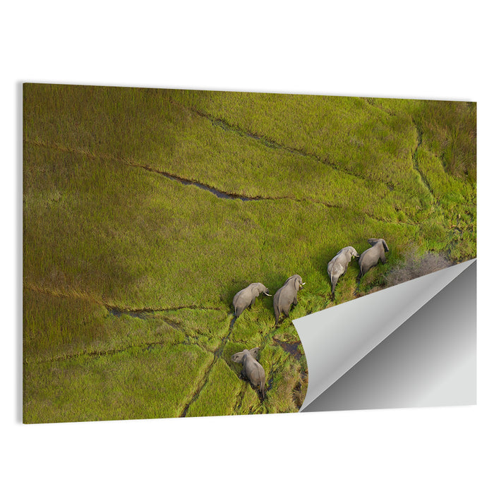 Aerial Herd of Elephants Wall Art as a poster print