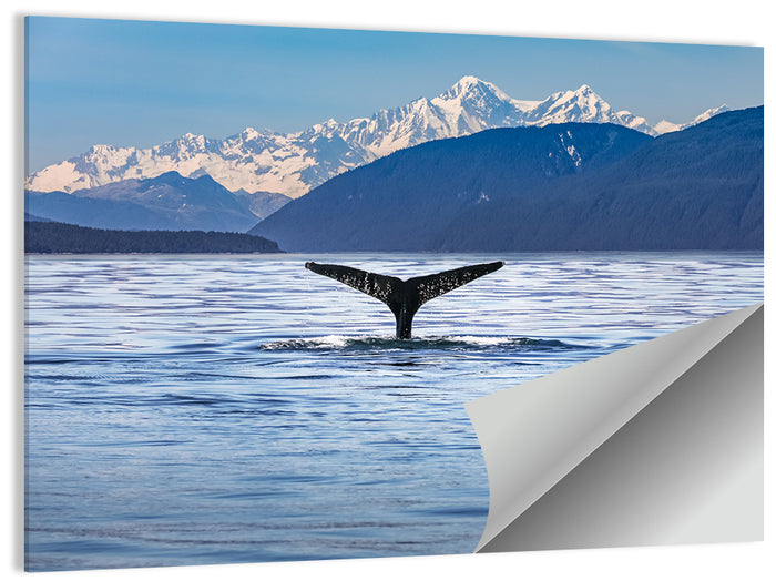 Alaska Whale Tail Wall Art as a poster print