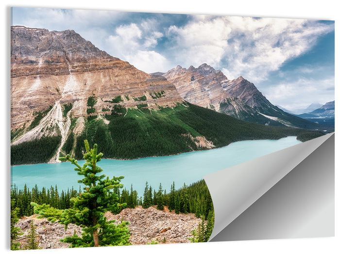 Peyto Lake Scenic View Wall Art as a poster print