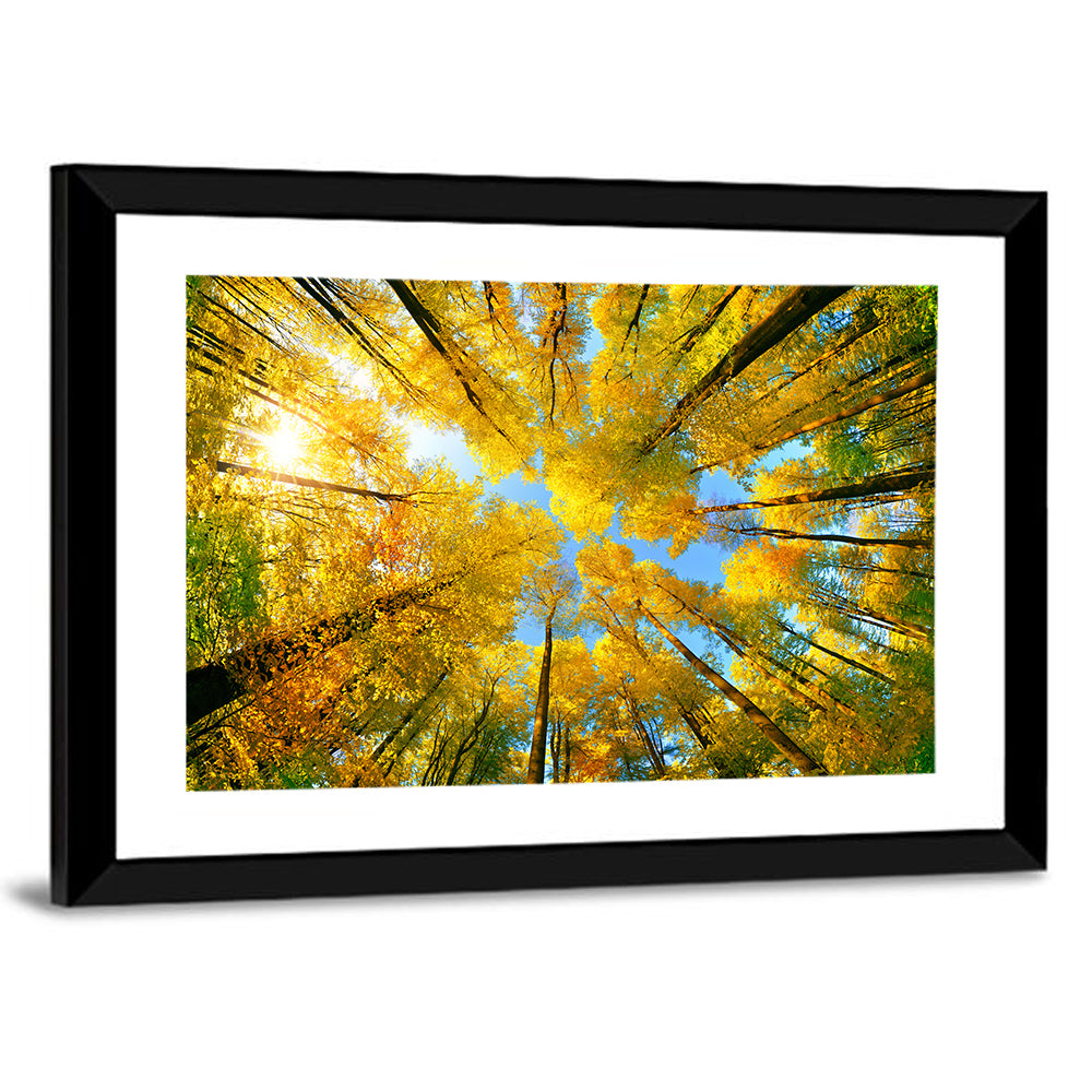 Golden Autumn Canopy Wall Art