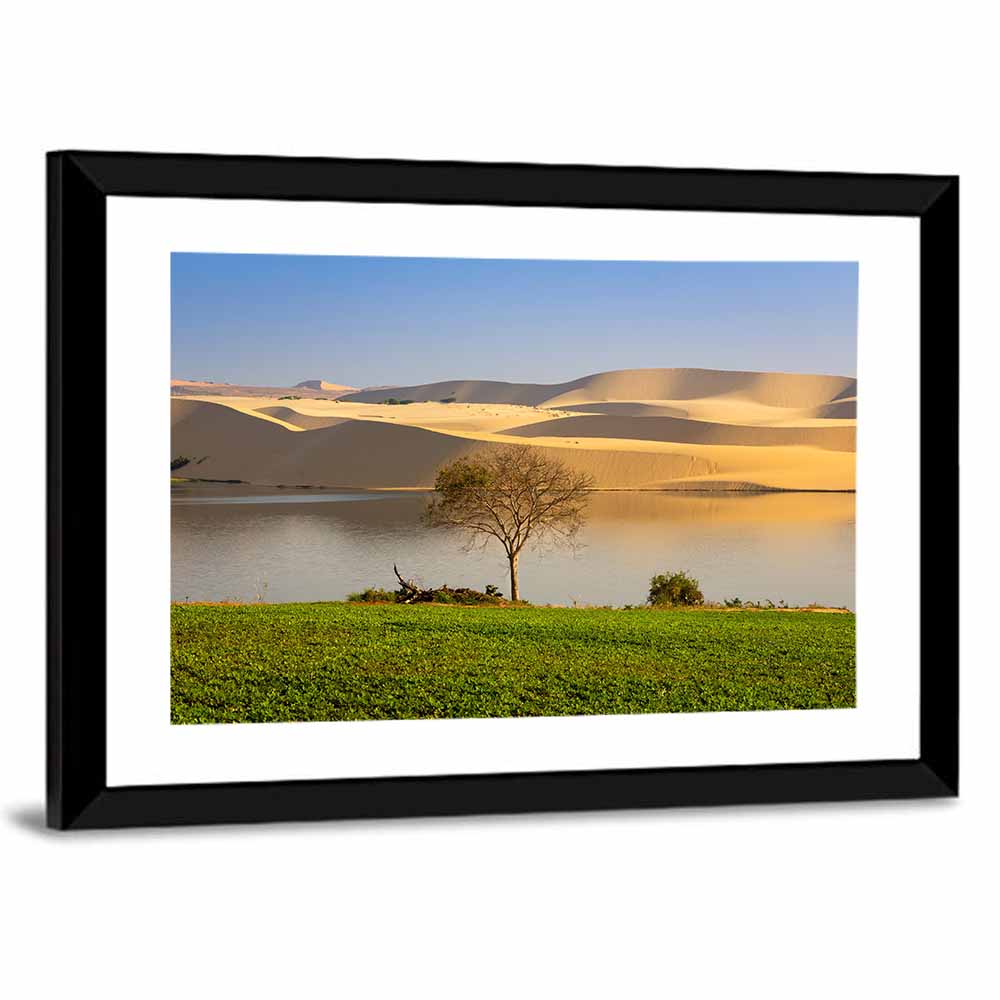 Sand Dunes In Mui Ne Wall Art