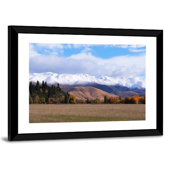 Ben Ohau Mountain Meadow Wall Art as a framed print