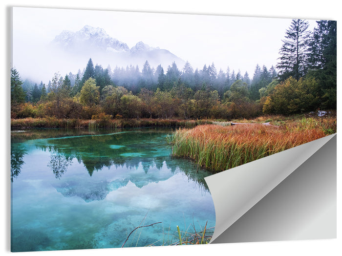 Lake Zelenci Reflections Wall Art as a poster print