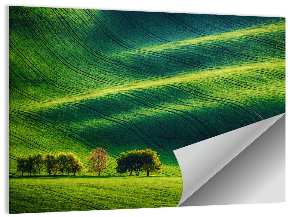 Southern Moravia Rolling Fields Wall Art