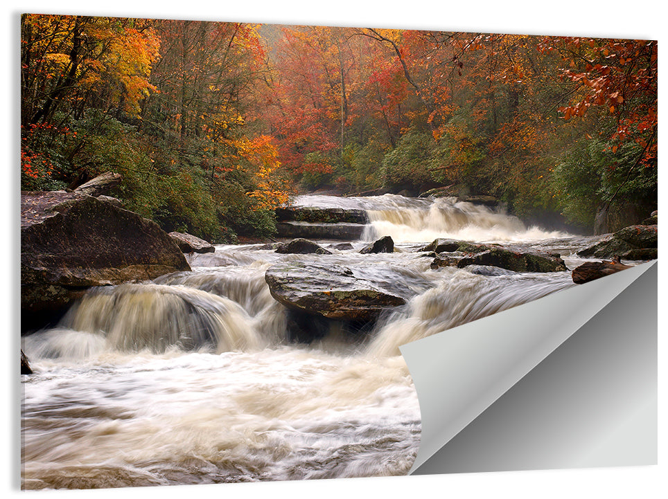 Carolina River in Autumn Wall Art