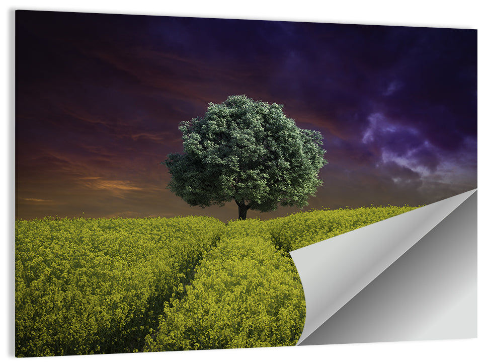 Solitary Tree in Yellow Field Wall Art