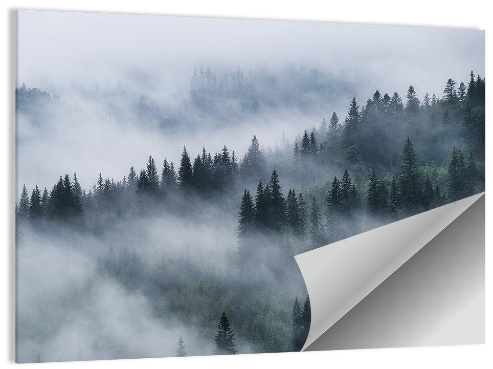 Foggy Mountains Forest Wall Art