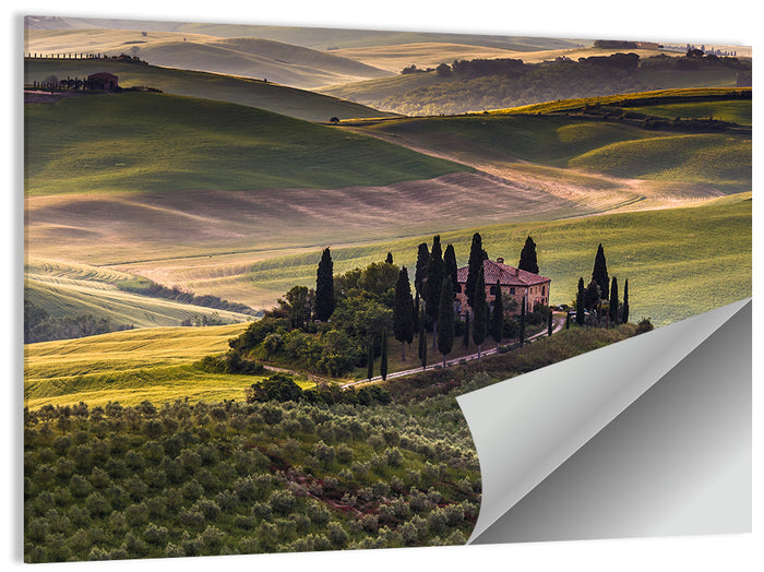 Val D'orcia Meadow Hills Wall Art as a poster print