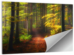 Autumn Forest Pathway Wall Art