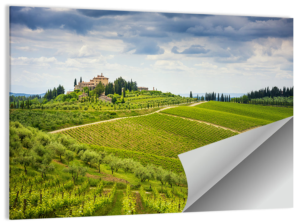 Chianti Vineyard Hills Wall Art