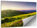 Alpine Meadow Sunrise Wall Art
