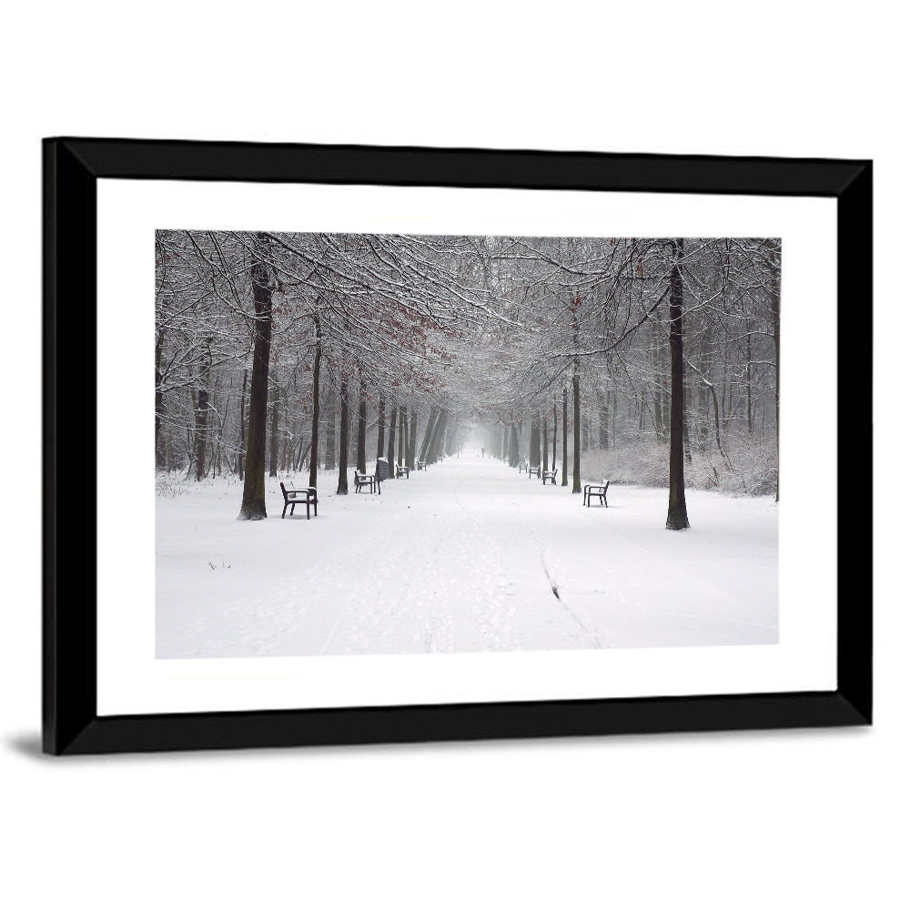 Snow Covered Park Lane Wall Art