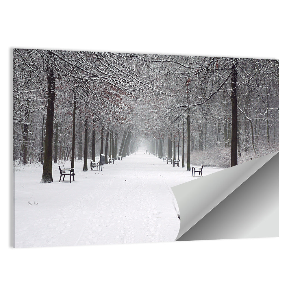 Park Lane in Snow Wall Art